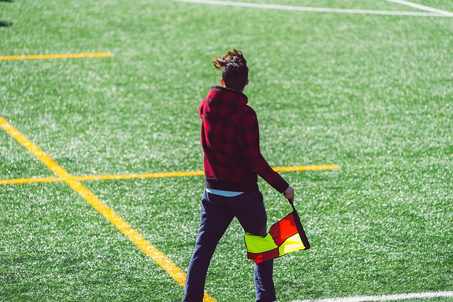 法国国家队 法国国家队